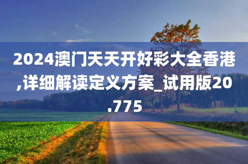 2024澳门天天开好彩大全香港,详细解读定义方案_试用版20.775