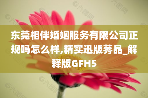 东莞相伴婚姻服务有限公司正规吗怎么样,精实迅版莠品_解释版GFH5