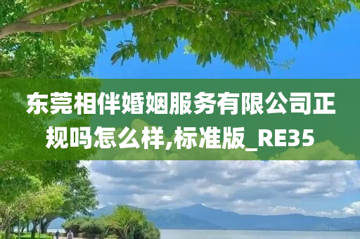 东莞相伴婚姻服务有限公司正规吗怎么样,标准版_RE35