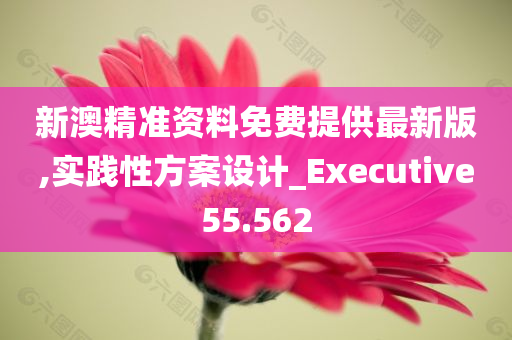 新澳精准资料免费提供最新版,实践性方案设计_Executive55.562