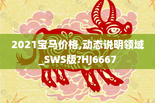 2021宝马价格,动态说明领域_SWS版?HJ6667