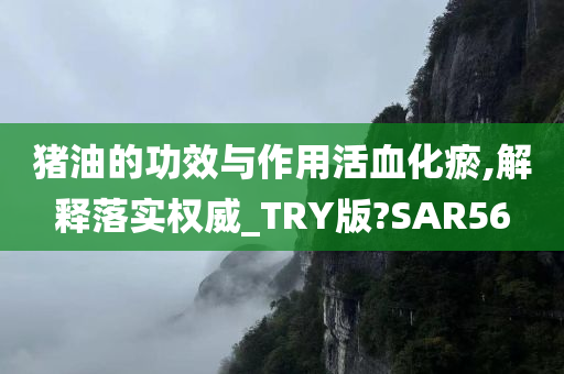 猪油的功效与作用活血化瘀,解释落实权威_TRY版?SAR56