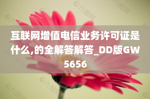 互联网增值电信业务许可证是什么,的全解答解答_DD版GW5656