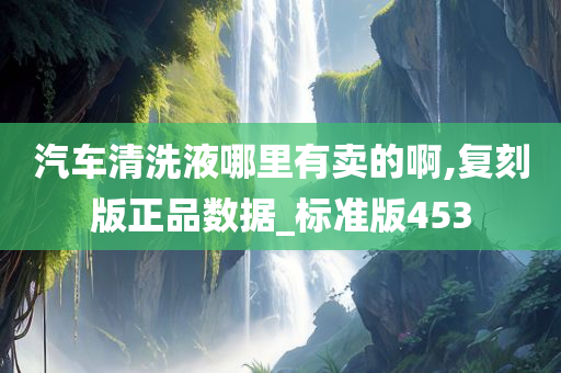 汽车清洗液哪里有卖的啊,复刻版正品数据_标准版453