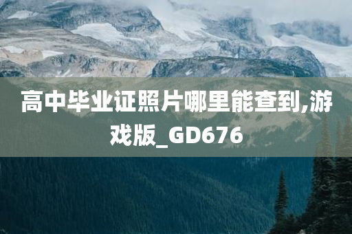 高中毕业证照片哪里能查到,游戏版_GD676