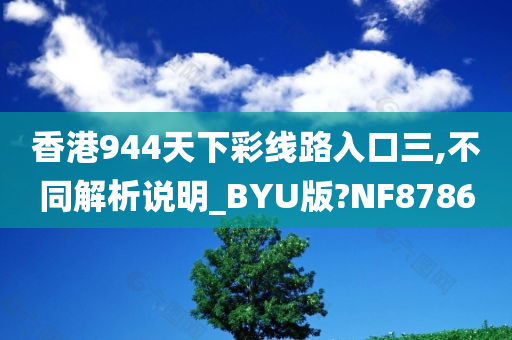 香港944天下彩线路入口三,不同解析说明_BYU版?NF8786