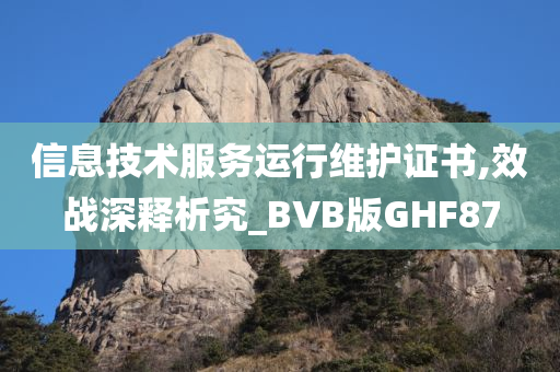 信息技术服务运行维护证书,效战深释析究_BVB版GHF87