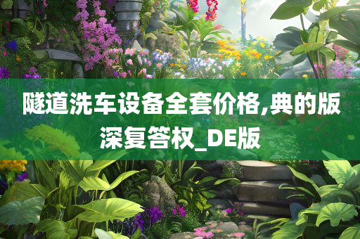 隧道洗车设备全套价格,典的版深复答权_DE版