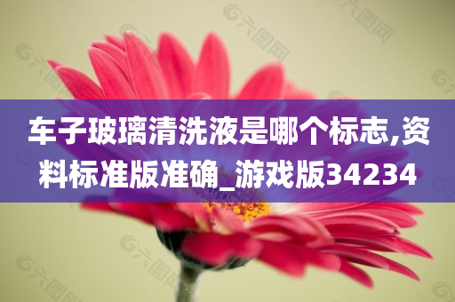 车子玻璃清洗液是哪个标志,资料标准版准确_游戏版34234