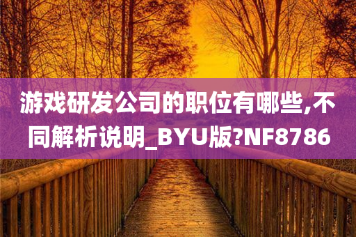 游戏研发公司的职位有哪些,不同解析说明_BYU版?NF8786