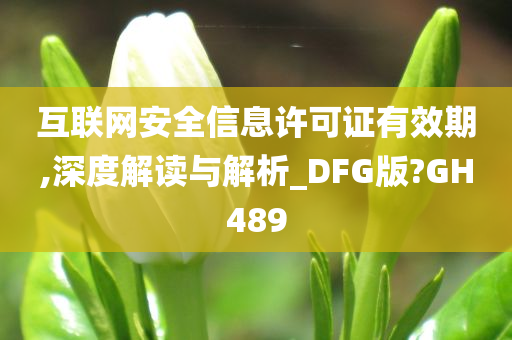 互联网安全信息许可证有效期,深度解读与解析_DFG版?GH489