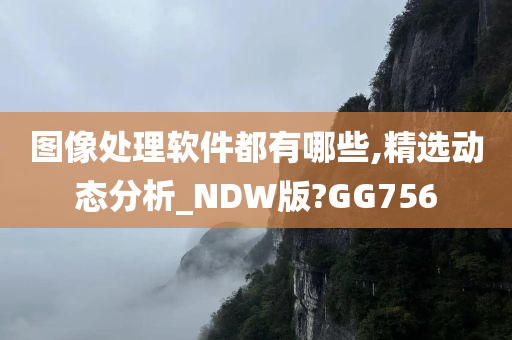 图像处理软件都有哪些,精选动态分析_NDW版?GG756