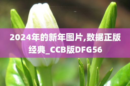 2024年的新年图片,数据正版经典_CCB版DFG56