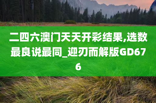 二四六澳门天天开彩结果,选数最良说最同_迎刃而解版GD676