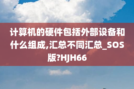 计算机的硬件包括外部设备和什么组成,汇总不同汇总_SOS版?HJH66