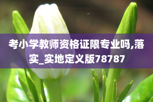 考小学教师资格证限专业吗,落实_实地定义版78787