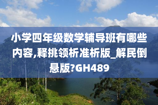 小学四年级数学辅导班有哪些内容,释挑领析准析版_解民倒悬版?GH489