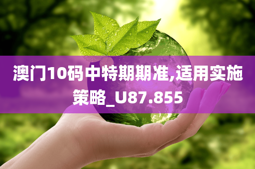 澳门10码中特期期准,适用实施策略_U87.855