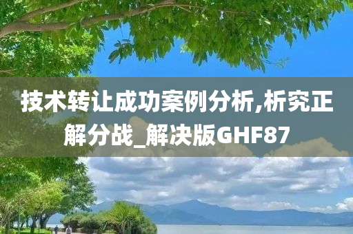 案例分析 第2页