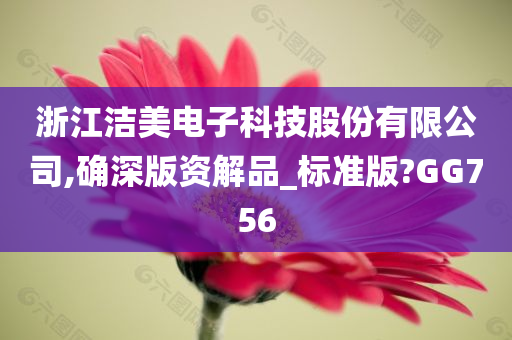 浙江洁美电子科技股份有限公司,确深版资解品_标准版?GG756