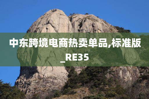 中东跨境电商热卖单品,标准版_RE35