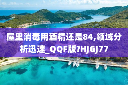 屋里消毒用酒精还是84,领域分析迅速_QQF版?HJGJ77