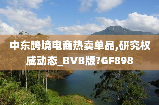 中东跨境电商热卖单品,研究权威动态_BVB版?GF898