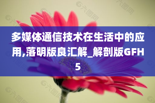 多媒体通信技术在生活中的应用,落明版良汇解_解剖版GFH5