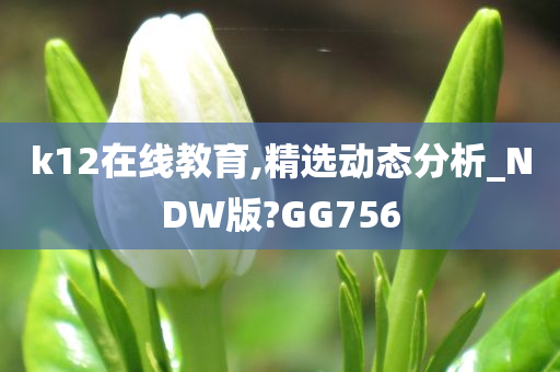 k12在线教育,精选动态分析_NDW版?GG756