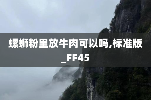 螺蛳粉里放牛肉可以吗,标准版_FF45