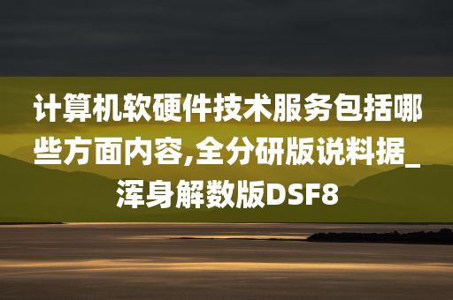 计算机软硬件技术服务包括哪些方面内容,全分研版说料据_浑身解数版DSF8