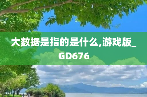 大数据是指的是什么,游戏版_GD676