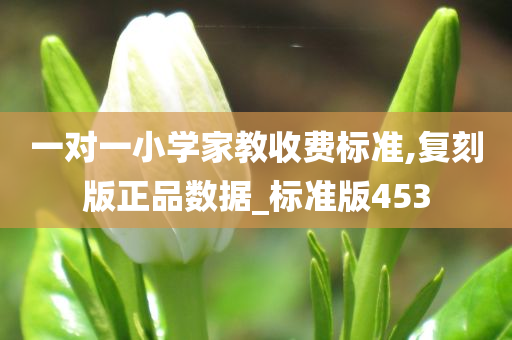 一对一小学家教收费标准,复刻版正品数据_标准版453