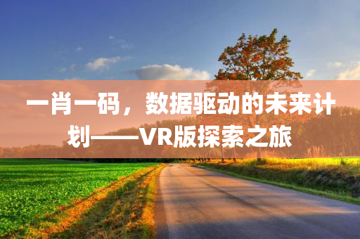 一肖一码，数据驱动的未来计划——VR版探索之旅