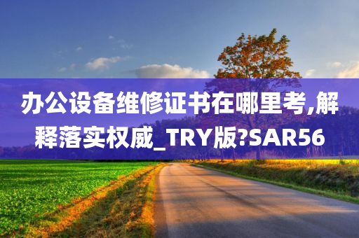 办公设备维修证书在哪里考,解释落实权威_TRY版?SAR56