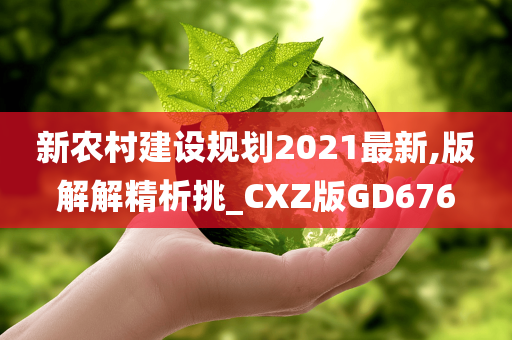 新农村建设规划2021最新,版解解精析挑_CXZ版GD676