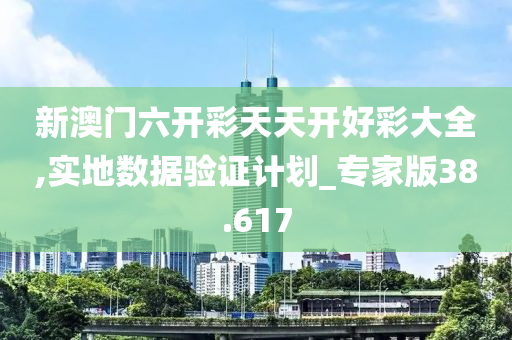 新澳门六开彩天天开好彩大全,实地数据验证计划_专家版38.617