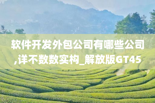 软件开发外包公司有哪些公司,详不数数实构_解放版GT45