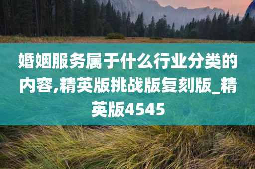 婚姻服务属于什么行业分类的内容,精英版挑战版复刻版_精英版4545