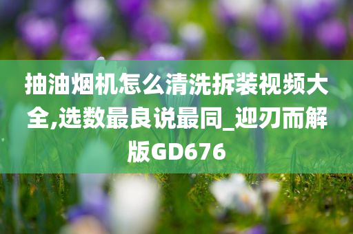 抽油烟机怎么清洗拆装视频大全,选数最良说最同_迎刃而解版GD676