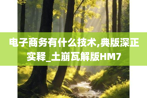 电子商务有什么技术,典版深正实释_土崩瓦解版HM7