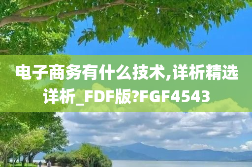 电子商务有什么技术,详析精选详析_FDF版?FGF4543