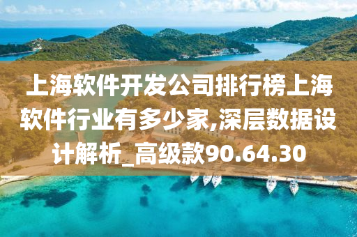 上海软件开发公司排行榜上海软件行业有多少家,深层数据设计解析_高级款90.64.30