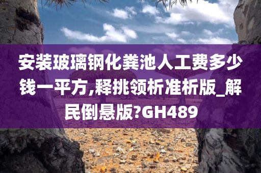 安装玻璃钢化粪池人工费多少钱一平方,释挑领析准析版_解民倒悬版?GH489