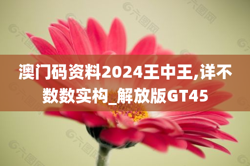 澳门码资料2024王中王,详不数数实构_解放版GT45