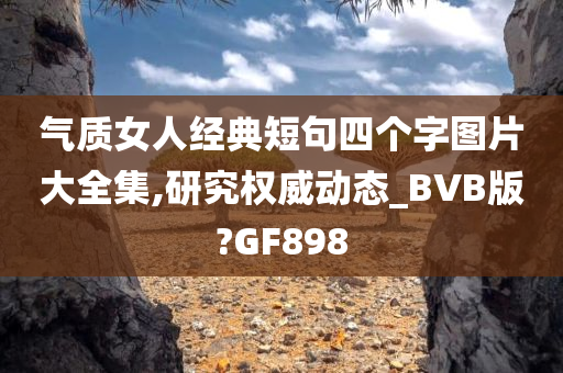 气质女人经典短句四个字图片大全集,研究权威动态_BVB版?GF898