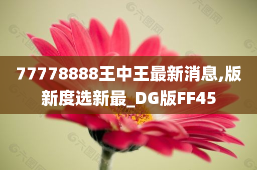 77778888王中王最新消息,版新度选新最_DG版FF45