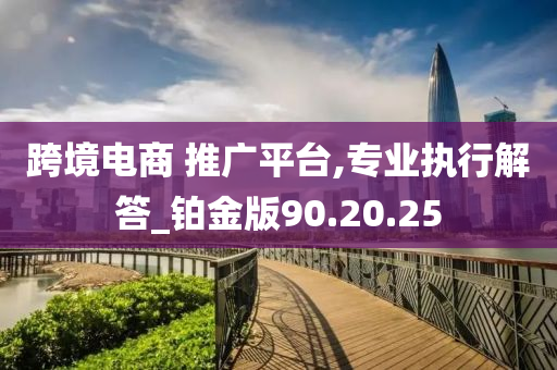 跨境电商 推广平台,专业执行解答_铂金版90.20.25