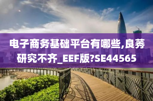 电子商务基础平台有哪些,良莠研究不齐_EEF版?SE44565