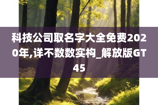 科技公司取名字大全免费2020年,详不数数实构_解放版GT45